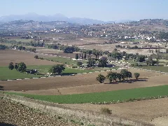 Area Archeologica Di Suasa Vista Dalla Croce Del Termine 2