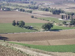 Area Archeologica Di Suasa Vista Dalla Croce Del Termine 3, Anfiteatro