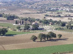 Area Archeologica Di Suasa Vista Dalla Croce Del Termine 4 Foro E Domus Dei Coiedii