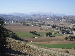 Area Archeologica Di Suasa Vista Dalla Croce Del Termine 5
