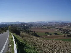 Area Archeologica Di Suasa Vista Dalla Croce Del Termine 6