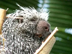 At The Zoo 10