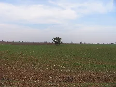Ataköy L.burgaz Panoramio