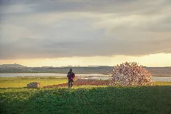 Atardecer (8585960400)