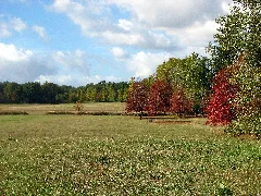 Autumn Meadow Molalla River Sp Oregon