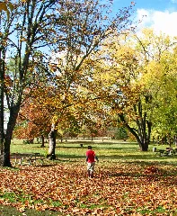 Autumn Play Molalla River Sp Oregon