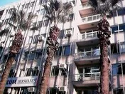 Aytas Head Office Panoramio