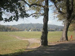 Błonia Krakowskie 04