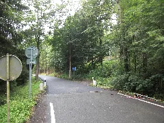 Bad Elster Doubrava Grün N 2008 A