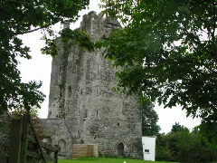 Ballybur Castle Geograph.org.uk 558376