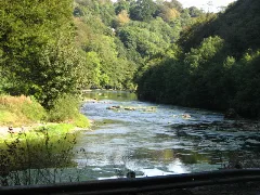 Bandon River View Geograph.org.uk 552752