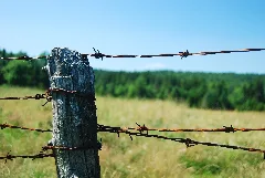 Barbed Wire (815195046)