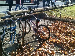 Bicycle And Bicycle Stand