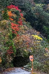 西川渓谷