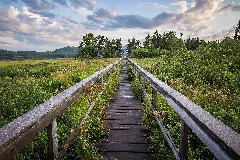 Boardwalk At Springdale (7688571952)