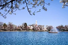 Boat Lake In Byrd Park