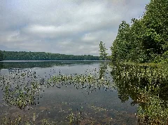 Bottle Lake1