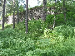 Brahe Castle Ruins Panoramio