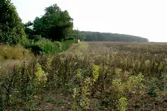 Bridleway At Quarry Farm Geograph.org.uk 208787