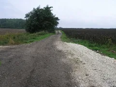 Bridleway To Well Geograph.org.uk 231882