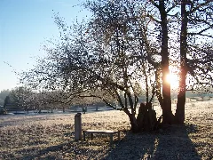 Bright Winter Morning Panoramio