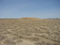 Bunchgrass Before The Hill Panoramio