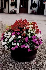 Bunratty Bunratty Village Mills Flowers In Planter Geograph.org.uk 1632245