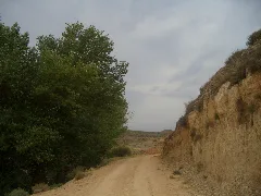 Camino De Las Fuentecillas, Cetina Panoramio