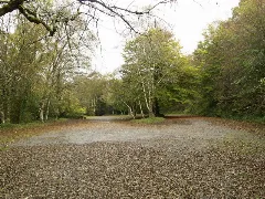 Car Park At Curraghbinny Wood Geograph.org.uk 594343