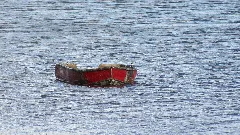 Cardigan River, Warf Rd, Newport (471450) (9450837668)