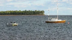 Cardigan River, Warf Rd, Newport (471451) (9448055525)