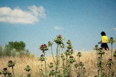 Cardo (9281309771)