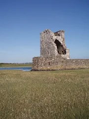 Carrigafoyle Castle