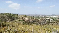 Castell Dels Alcalans 20170826 113145