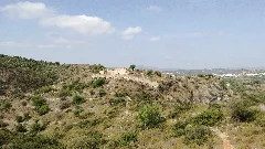 Castell Dels Alcalans 20170826 113538
