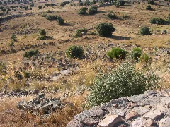 Castro De Las Cogotas Campo De Piedras Hincadas