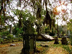 Cemeteries In Camellia Terrace