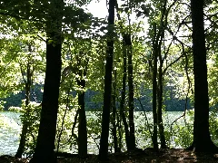 Cfpamattabesettcrescentlake