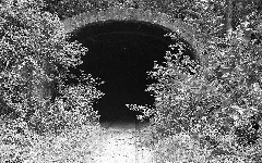Church Hill Tunnel East Entrance 1981 B