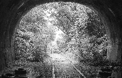 Church Hill Tunnel East Entrance 1981 D