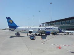 Cib A 320 212 D Aici In Dlm