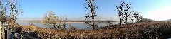 Cliff Cave Co Park Mississippi Panorama