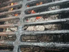 Coals Grates