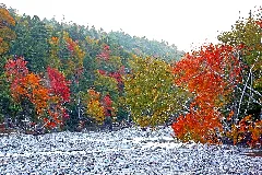 Colours Everywhere (15531309851)