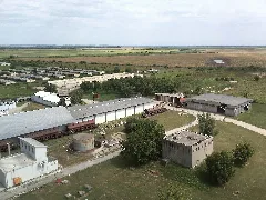 Darda Panoramio