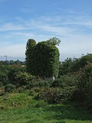 Derryleamleary Castle Geograph.org.uk 537663