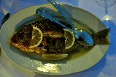 Dorade (7752394840)