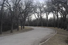 Drive Away Again (126037518)