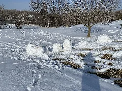 Eagle Run Golf Course 15 Inches Of Snow 2 1 2021 (1) (50899268443)