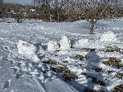 Eagle Run Golf Course 15 Inches Of Snow 2 1 2021 (2) (50899268348)